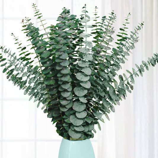 20 Pcs Preserved Dried Eucalyptus Stems, Eucalyptus Branches for Shower