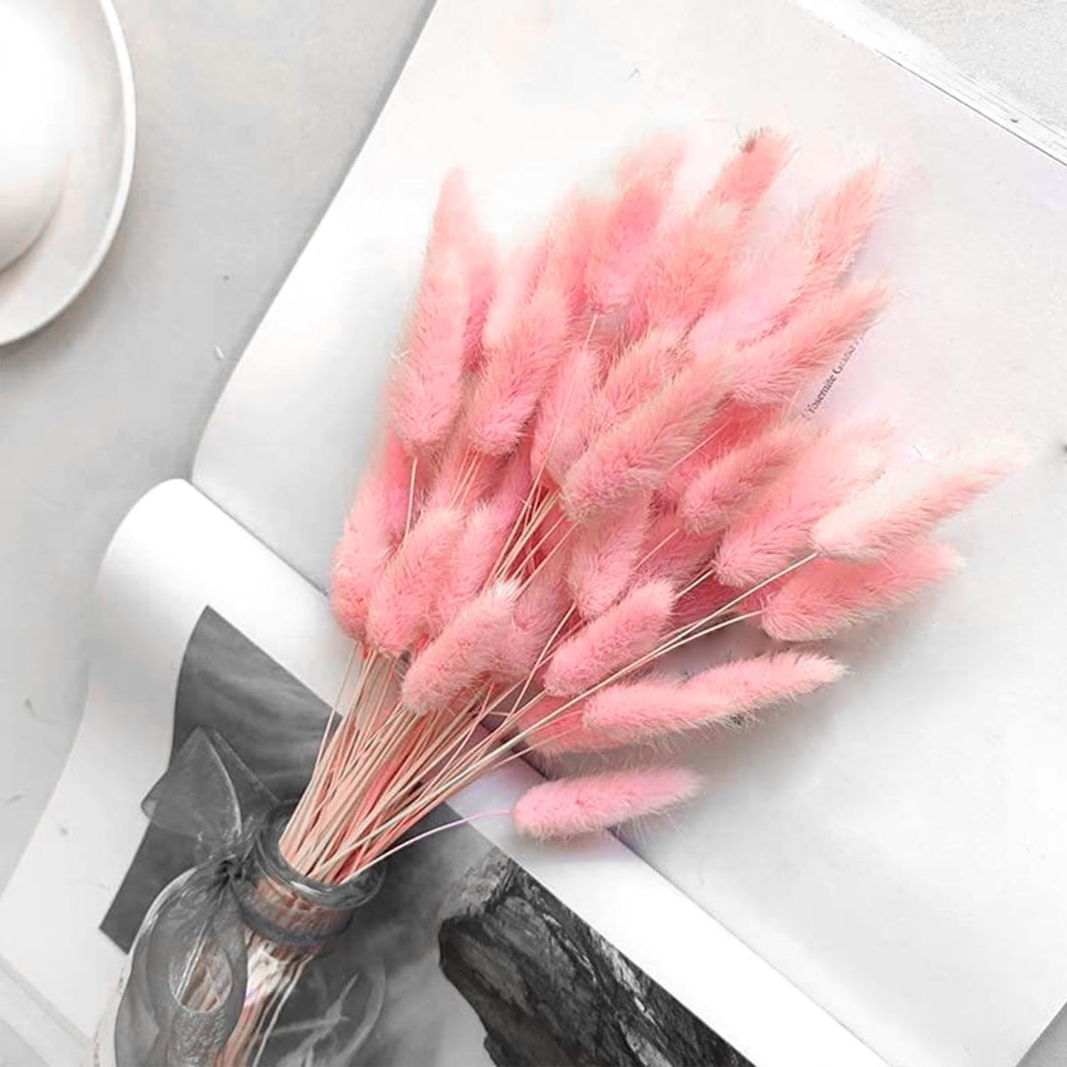 60PCS Rabbit Tail Grass Dried Flowers Dried Natural Floral (Grey)
