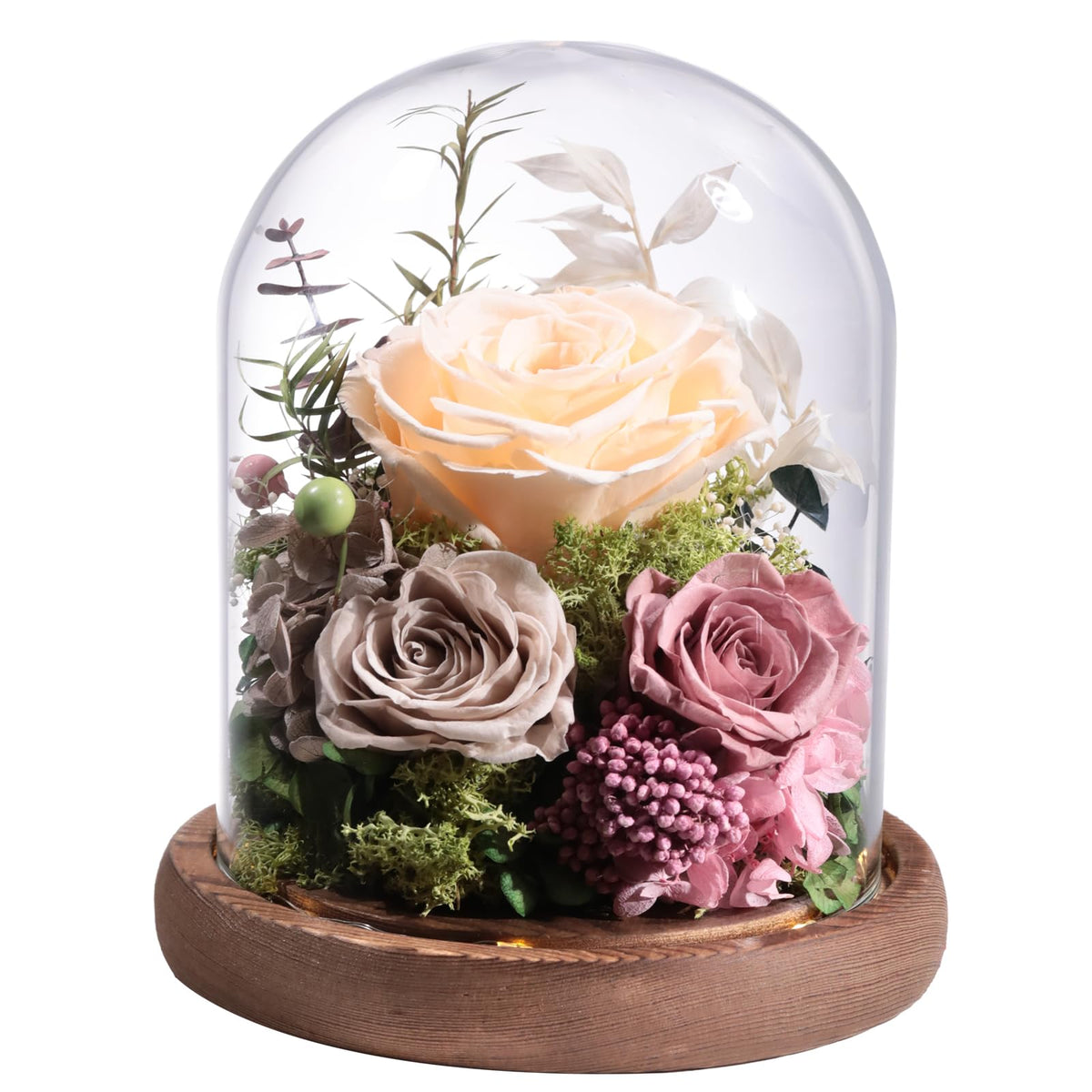 lovenfold Flowers for Delivery Preserved Rose Gifts for Women,Long-Lasting Forever Flowers in Glass Dome, Birthday Gifts for Women Mom Friend(Purple Rose)
