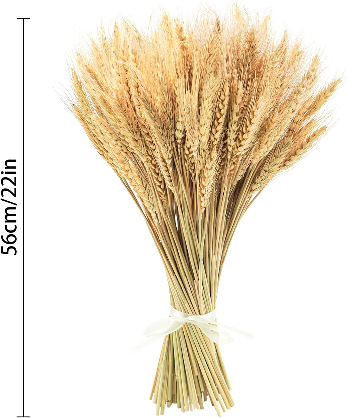 Uieke 17.7 Inches Dried Wheat Stalks, 100 Stems Dried Flowers 100% Natural Wheat for Home Kitchen Wedding Party Table Centerpiece Harvest Wreath Boho Farmhouse DIY Decoration