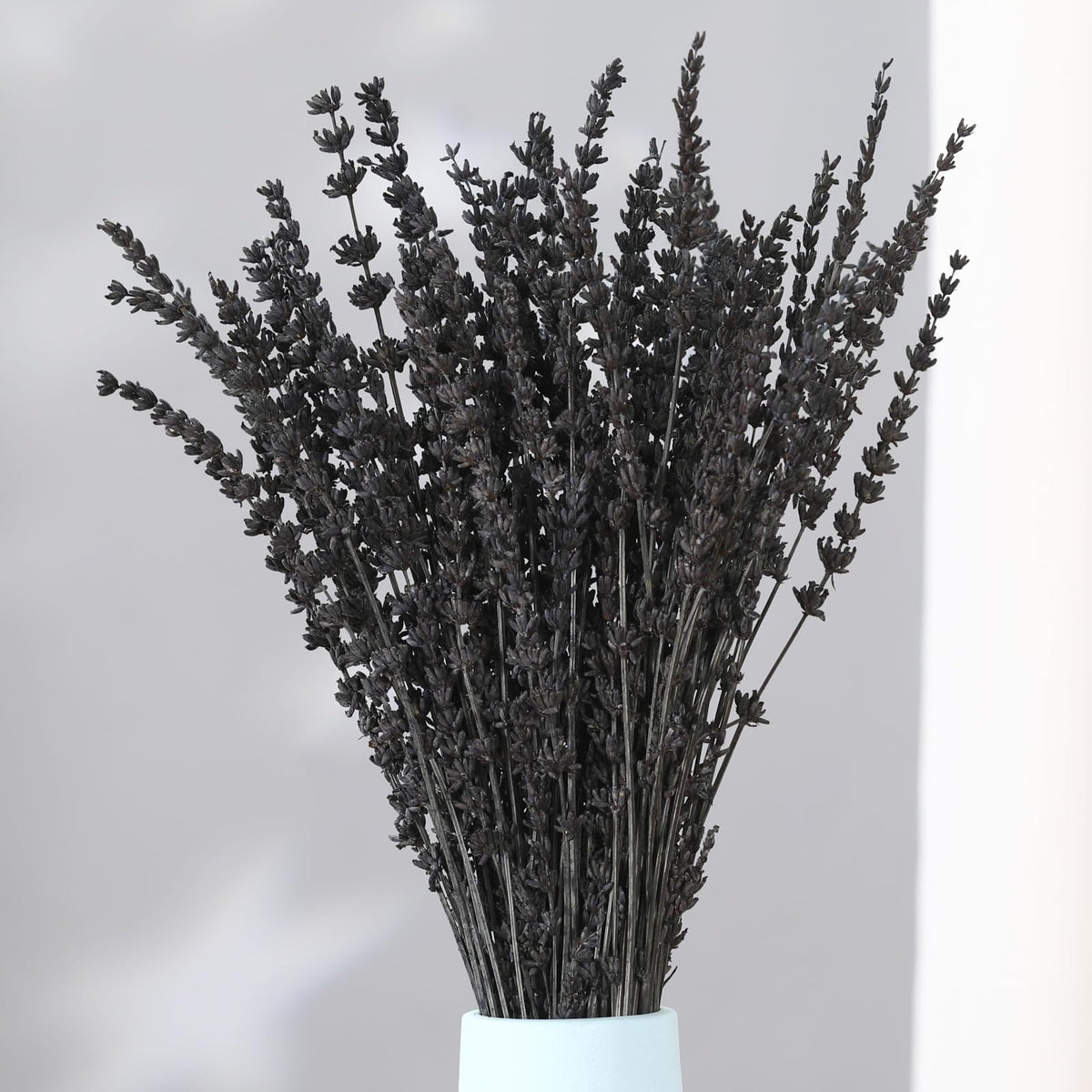 Dried Lavender Flowers, Preserved Purple Lavender Bundle, 15" -17" Natural Dried Flowers Bouquet for Wedding Vase Decor, Home Fragrance, Bathroom, Photo Props, Crafts, 70g (2.5oz)