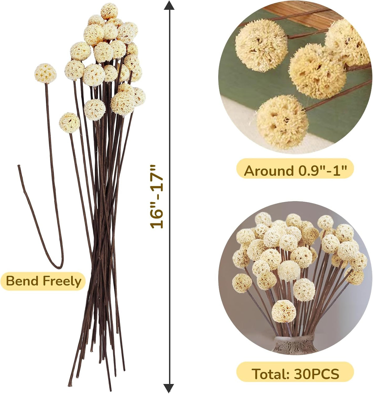 30 PCS Natural Dried White Craspedia Billy Balls Flowers, 17'' Real Plants