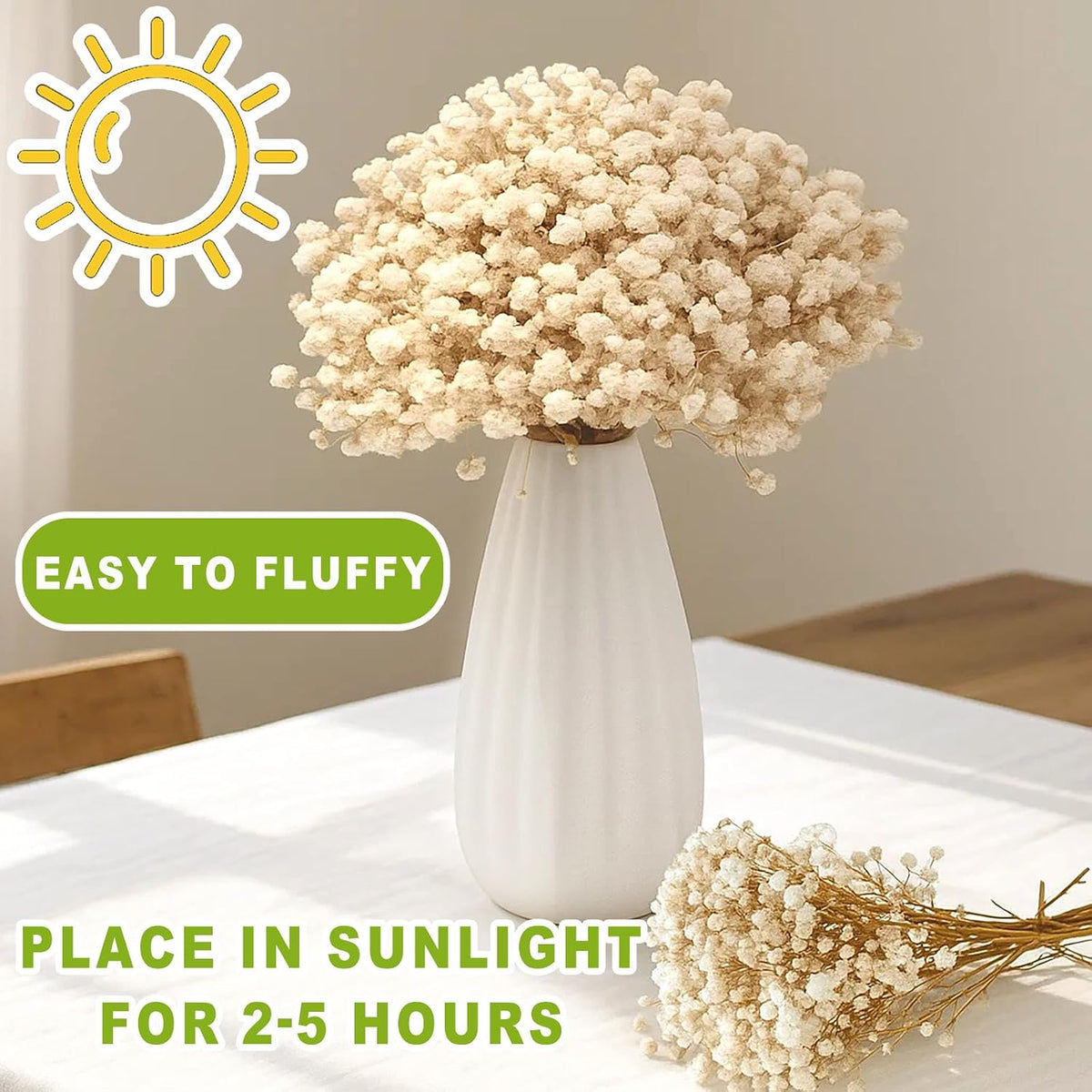 9000+ Mini Dried Baby's Breath Flowers Ivory White for Wedding Decor