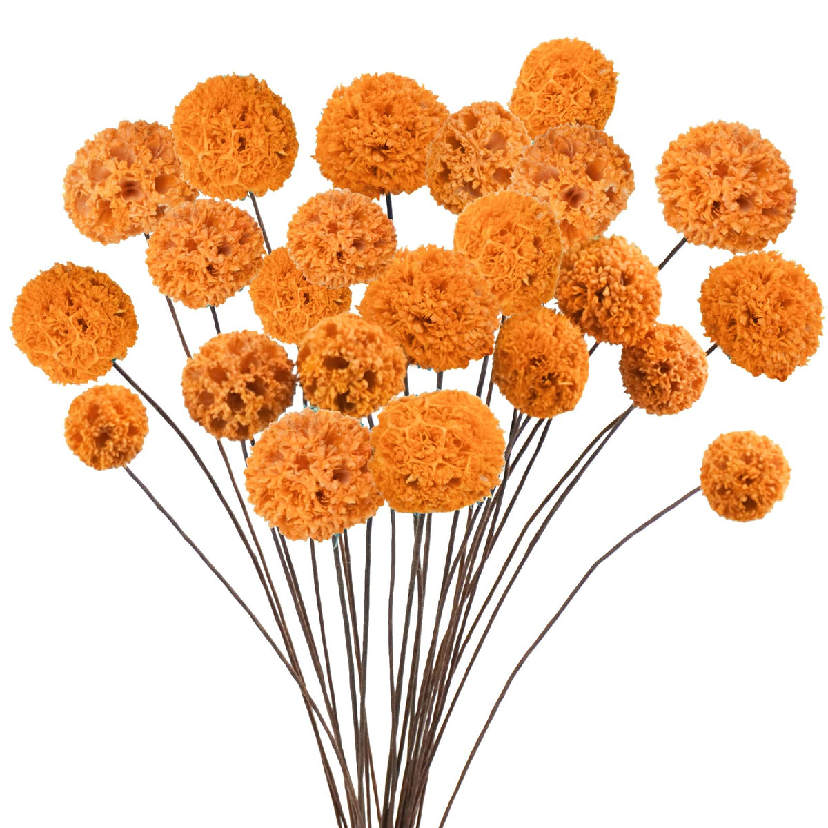 24 PCS Dried Craspedia Billy Balls Flowers, 18” Natural Dried Flowers Bouquet for Vase Floral Arrangements Wedding Table Centerpieces Party DIY Home Decor (White)