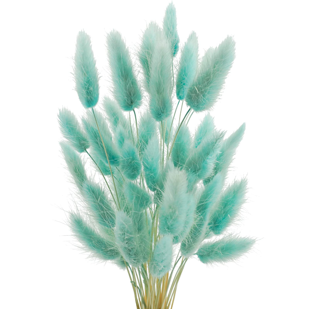 Uieke 120 Pcs Natural Bunny Tails Dried Flowers, 17’’ Dried Lagurus Ovatus, Orange Fall Dried Flowers for Fall Floral Arrangements Wedding Centerpieces Home Baby Shower Party Decorations
