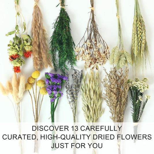 13 Kinds Mini Dried Flower Bouquet, 5-8" Boho Brown for Crafts, Vase Filler