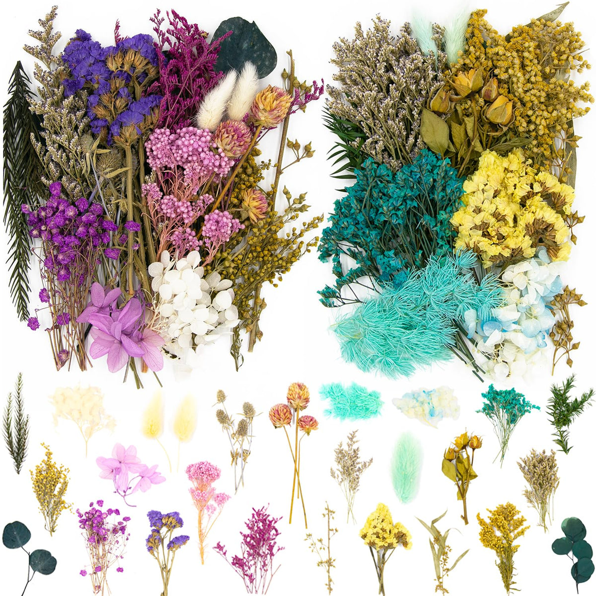 Vignee Real Dried Pressed Leaf Flowers-Multiple Colorful Pressed Flowers Daisies for Craft Resin Jewelry Making Art Craft DIY（Violet）