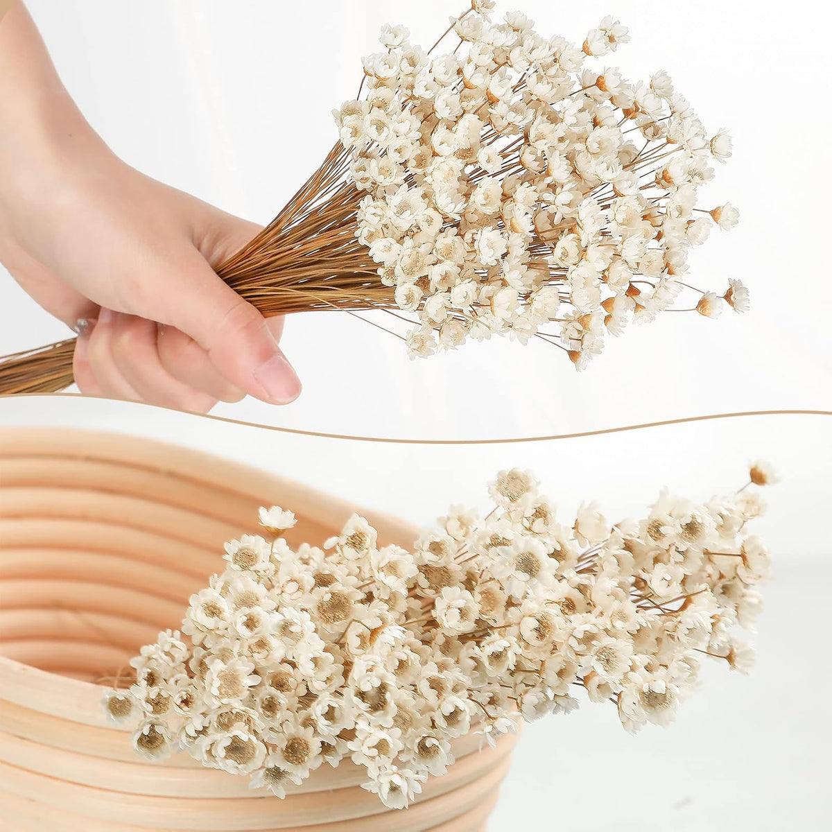 WILLBOND 200 Pcs Natural Dry Flowers White Mini Dried Star Daisy Floral Decorative Chamomile Bouquet for Wedding Floral Arrangements Home Vase Decorations