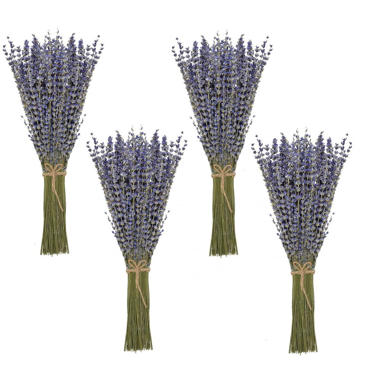 Timoo Dried Lavender Bundles 100 Natural Dried Lavender Flowers for Home Decoration, Photo Props, Home Fragrance, 2 Bundles Pack