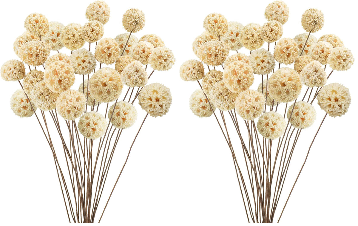 24 PCS Dried Craspedia Billy Balls Flowers, 18” Natural Dried Flowers Bouquet for Vase Floral Arrangements Wedding Table Centerpieces Party DIY Home Decor (White)