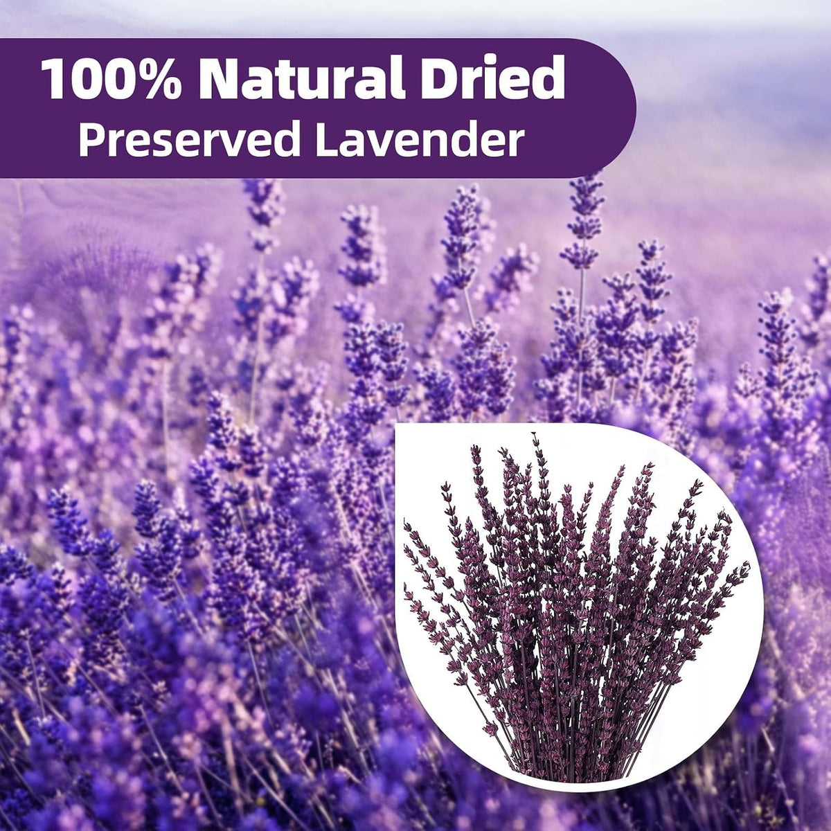 Dried Lavender Flowers, Preserved Purple Lavender Bundle, 15" -17" Natural Dried Flowers Bouquet for Wedding Vase Decor, Home Fragrance, Bathroom, Photo Props, Crafts, 70g (2.5oz)