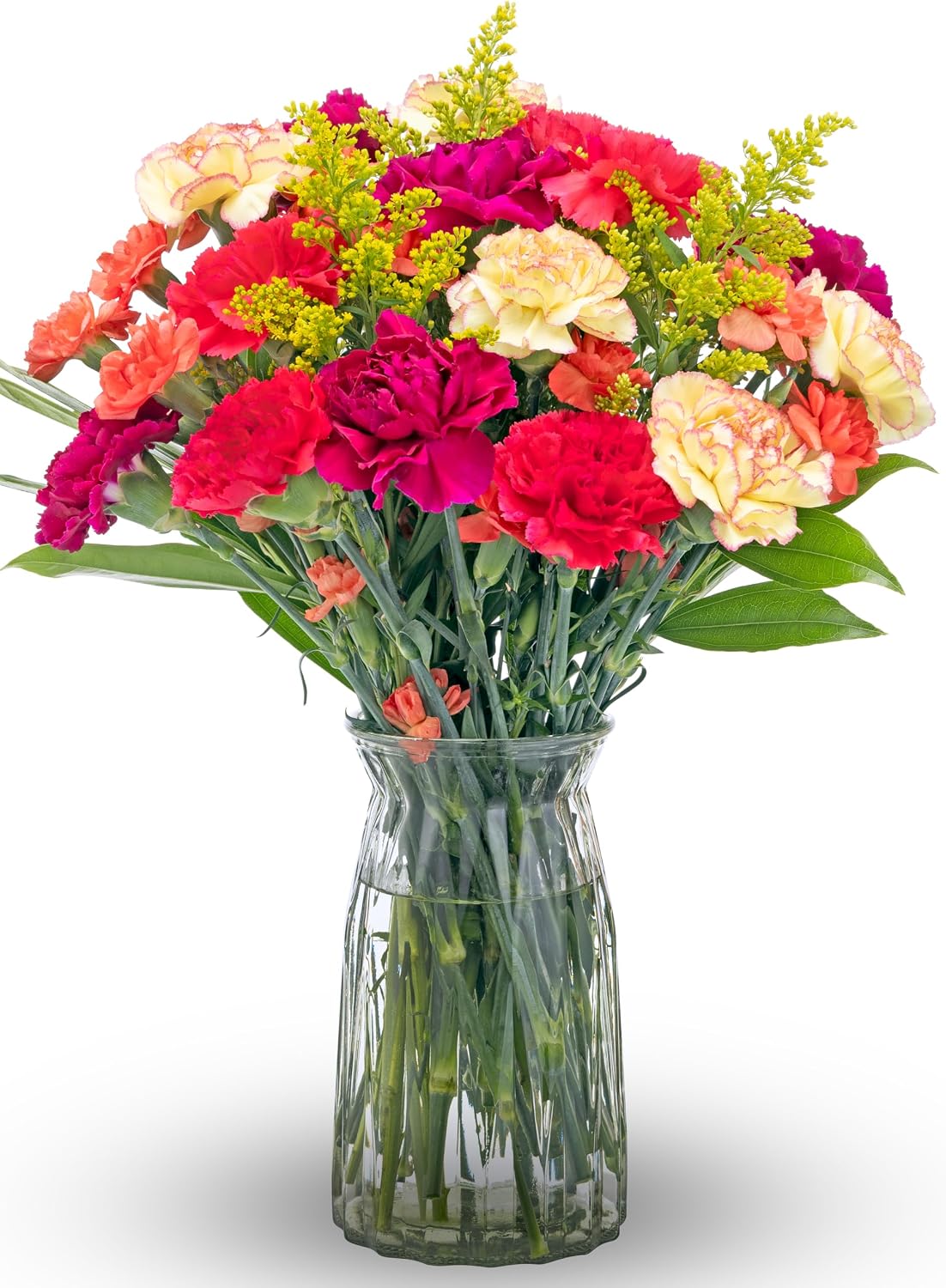 Benchmark Bouquets Mini Carnation Bouquet – Fresh Flowers for Delivery – Fall Flowers – Fresh Floral Arrangement – Gifts for Birthdays, Get Well, Just Because – Glass Vase Included