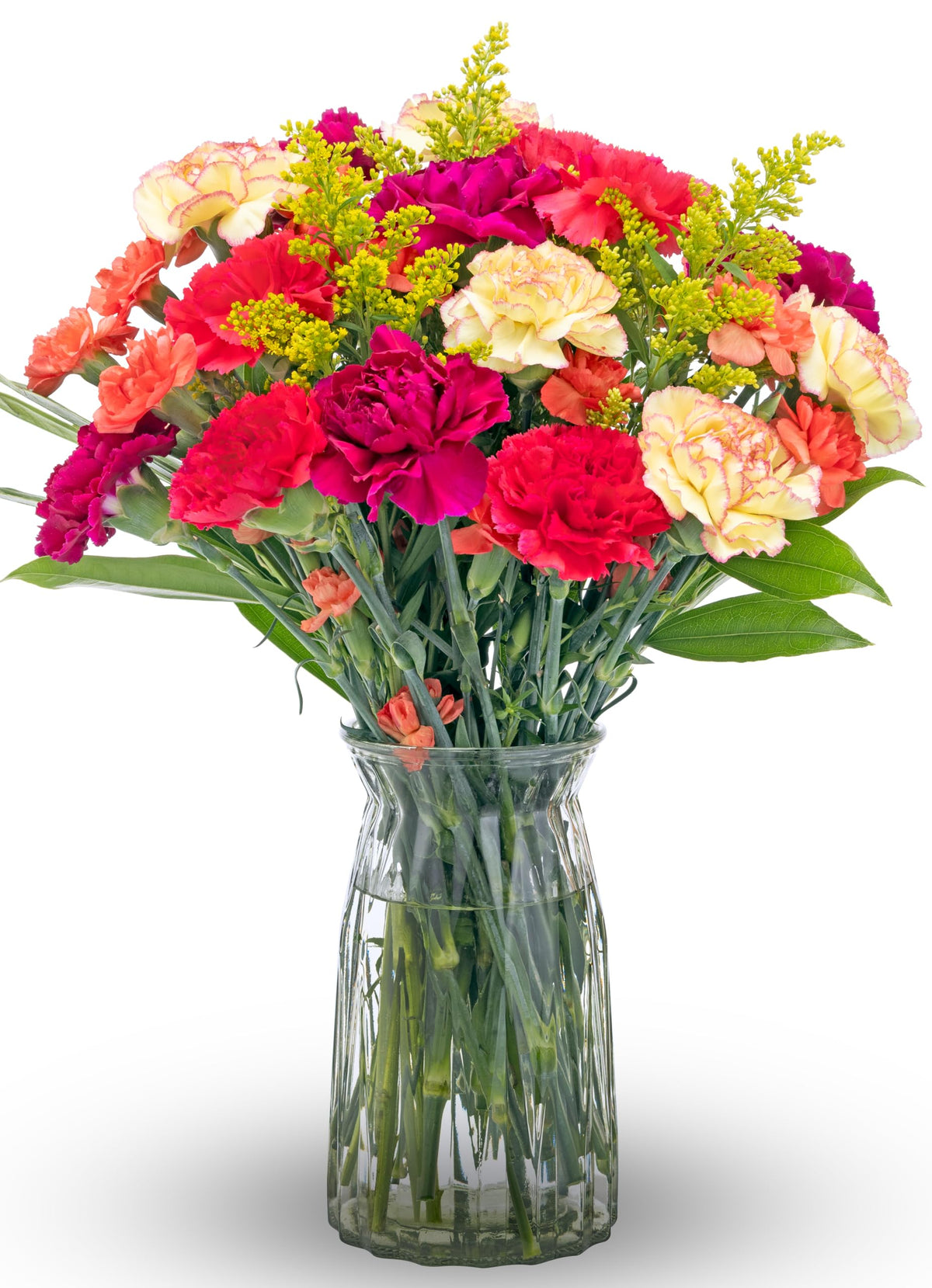 Benchmark Bouquets Mini Carnation Bouquet – Fresh Flowers for Delivery – Fall Flowers – Fresh Floral Arrangement – Gifts for Birthdays, Get Well, Just Because – Glass Vase Included