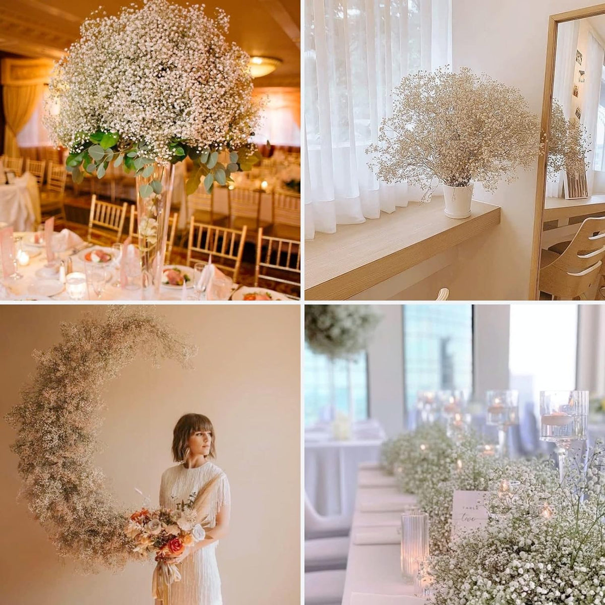 Dried Baby's Breath Flowers, 3 oz, 17.2 in, Ivory White Gypsophila Bouquet