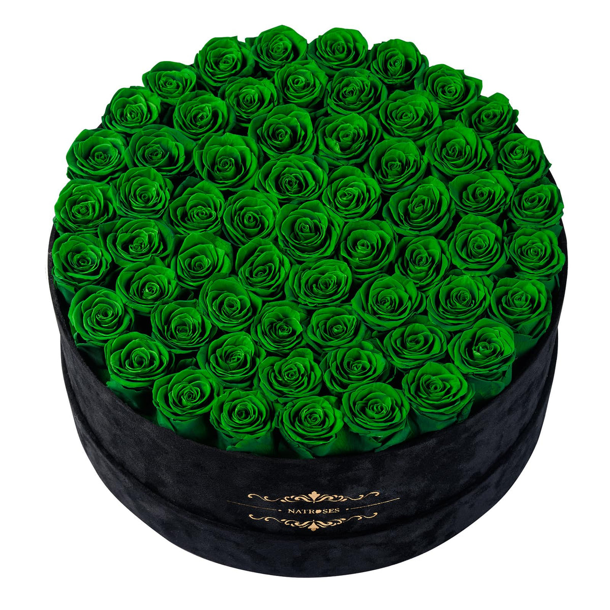 NATROSES Gifts for Her 27 Piece Forever Preserved Roses in a Box, Preserved Flowers for Delivery Birthday, Flowers Gifts for Mothers Day, Forest Green