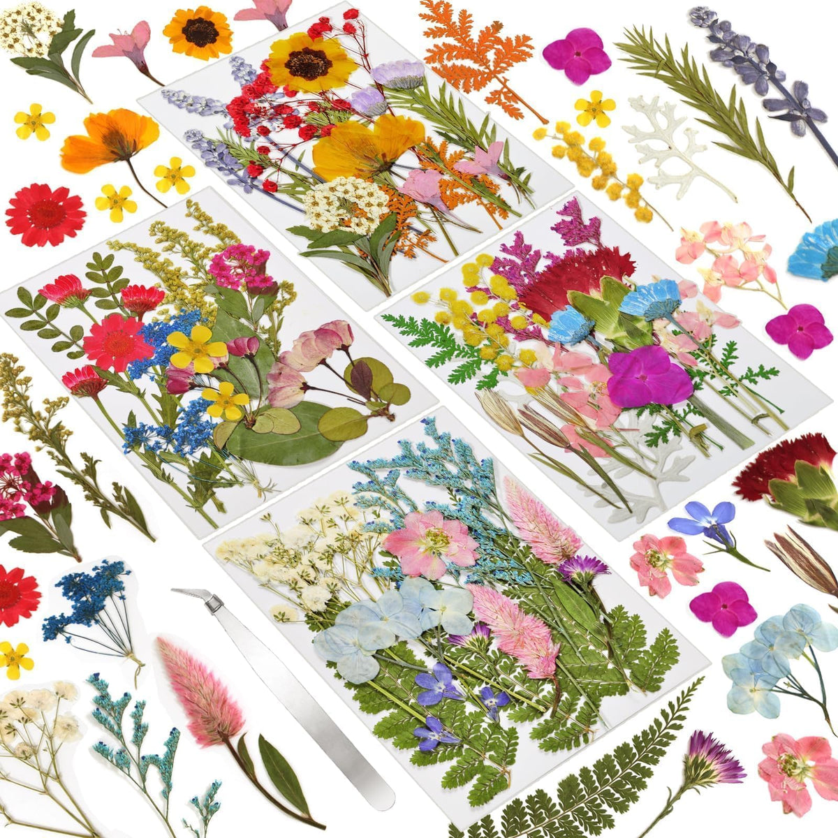 Dried Flowers for Resin, 106pcs Natural Flowers and Leaves Compressed