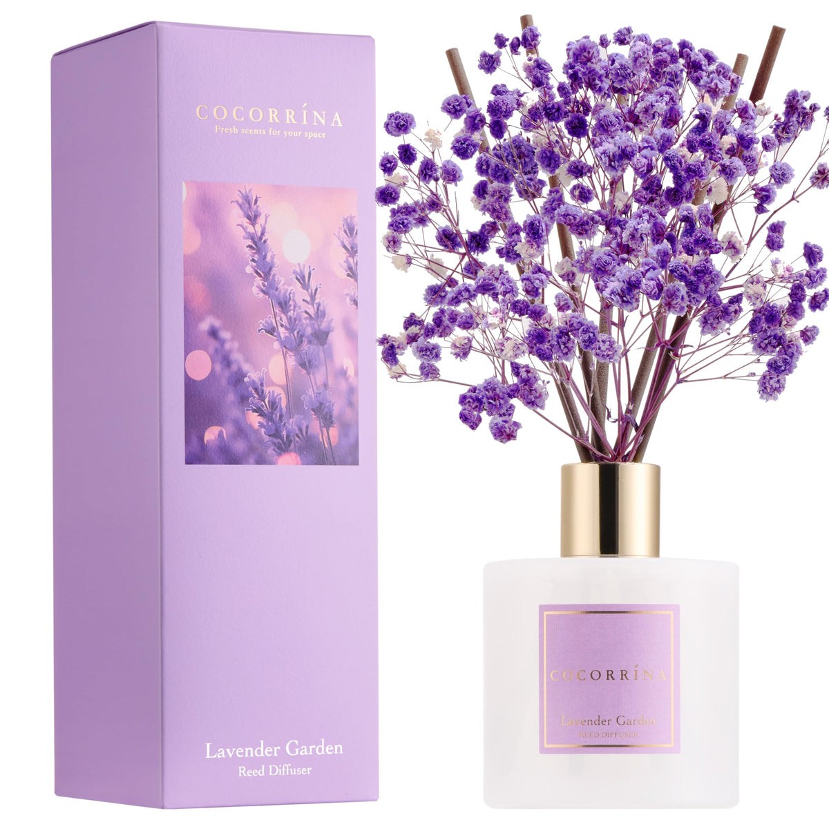Cocorrína Premium Reed Diffuser Set with Preserved Baby's Breath & Cotton Stick Sandalwood Rose | 6.7oz Scent Fragrance Oil Diffuser for Bedroom Bathroom Home Décor