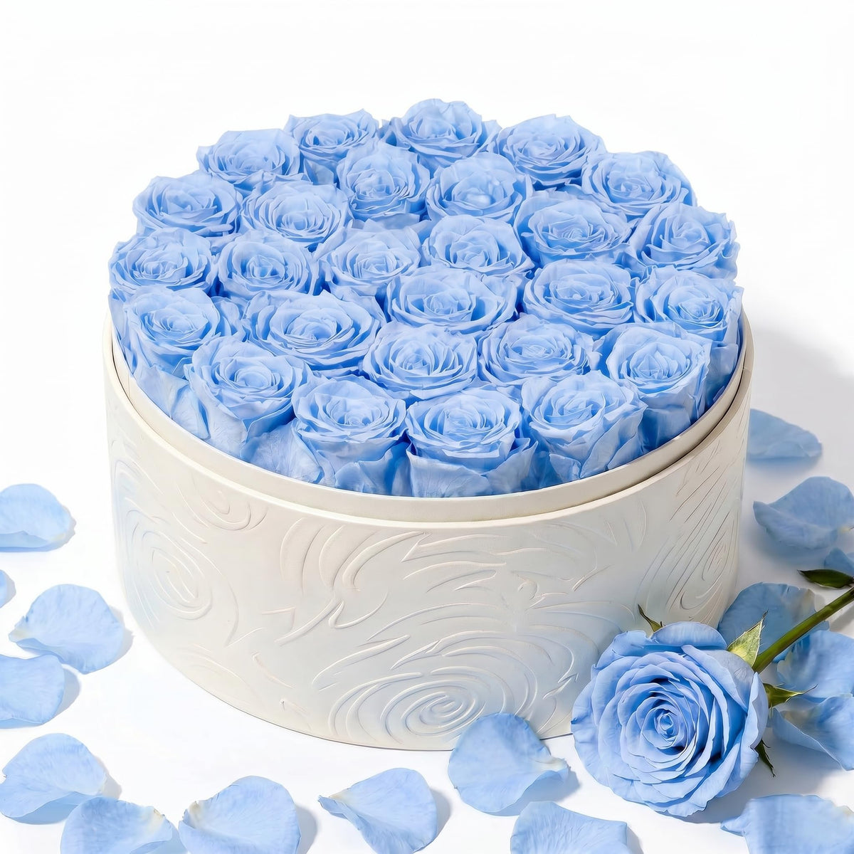Rosaura Round Preserved Roses Gift Box (Pink, 7 Roses)
