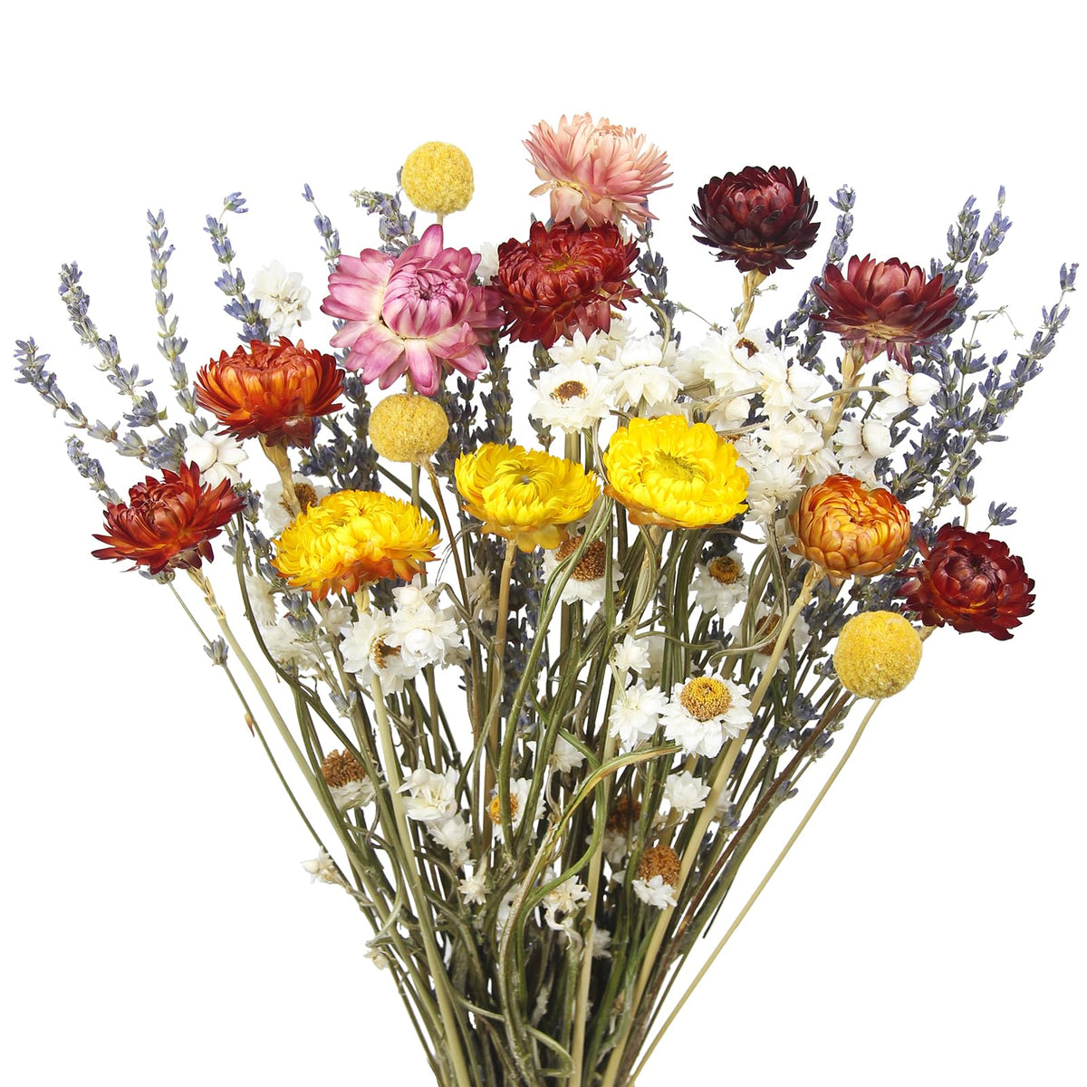 Dried Flowers Bouquet Dried Daisy Flowers Natural Lavender Dried Flowers Bunny Tails Gerber Daisies Flowers Wheat Stalks Floral Arrangements for Wedding Table Centerpiece Decor Farmhouse DIY