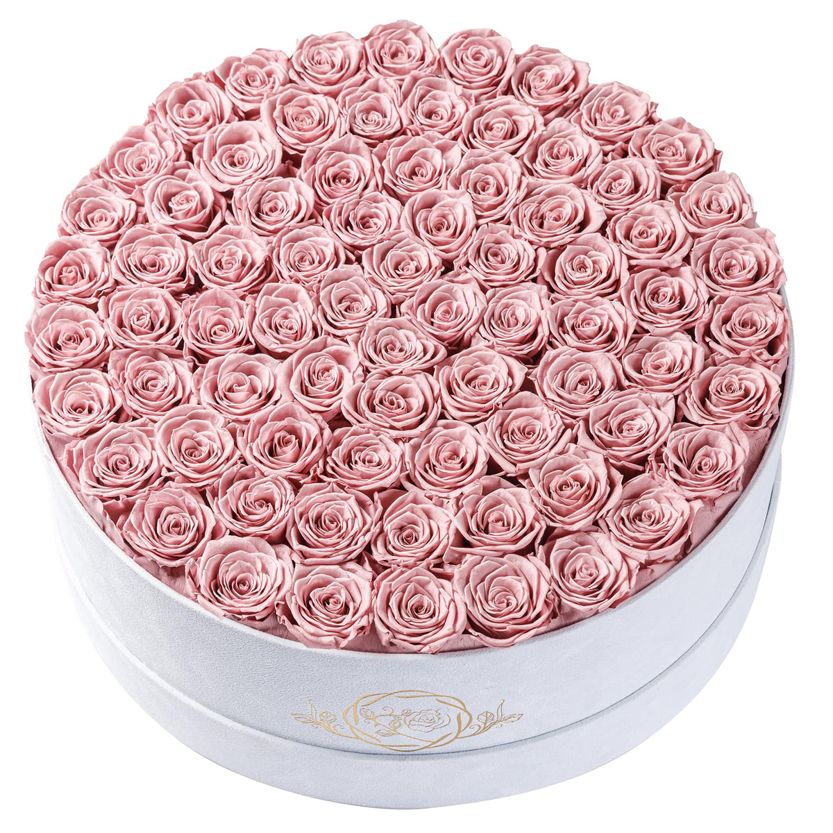 17 Flowers in Luxury Suede Box, Birthday Gifts for Women, Preserved Flowers
