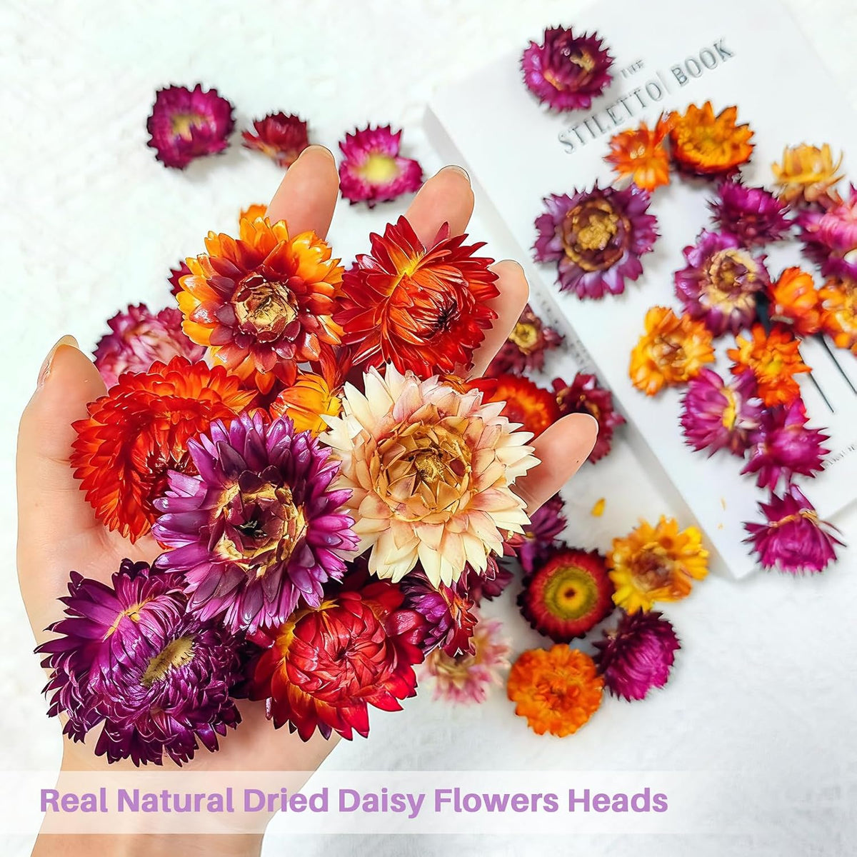 100 Pcs Natural Dried Daisy Flowers Heads, Multicolor Dry Floral Supplies