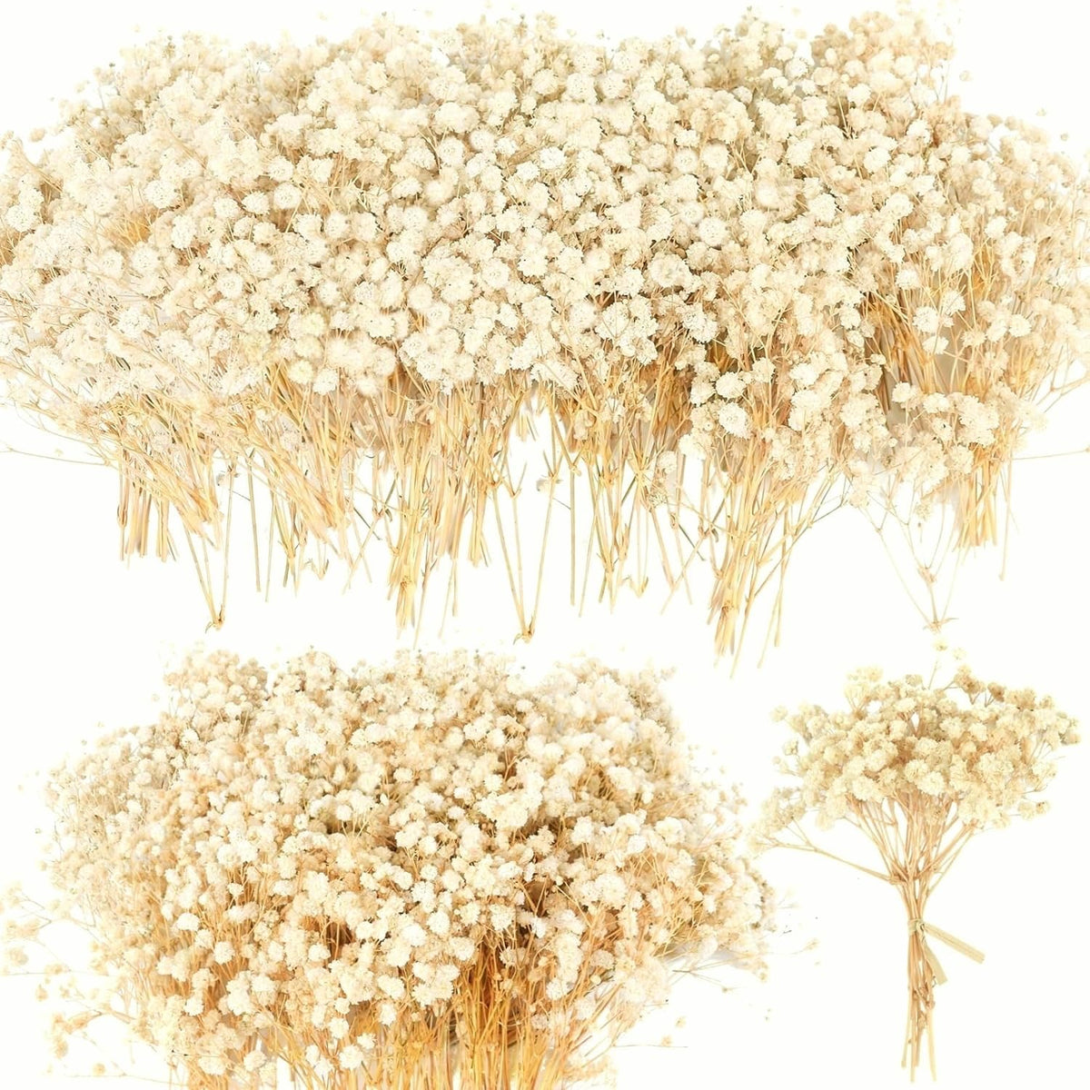 6000+ Mini Dried Baby's Breath Flowers, 100 Pcs Ivory White Gypsophila, 6in