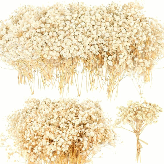 6000+ Mini Dried Baby's Breath Flowers, 100 Pcs Ivory White Gypsophila, 6in
