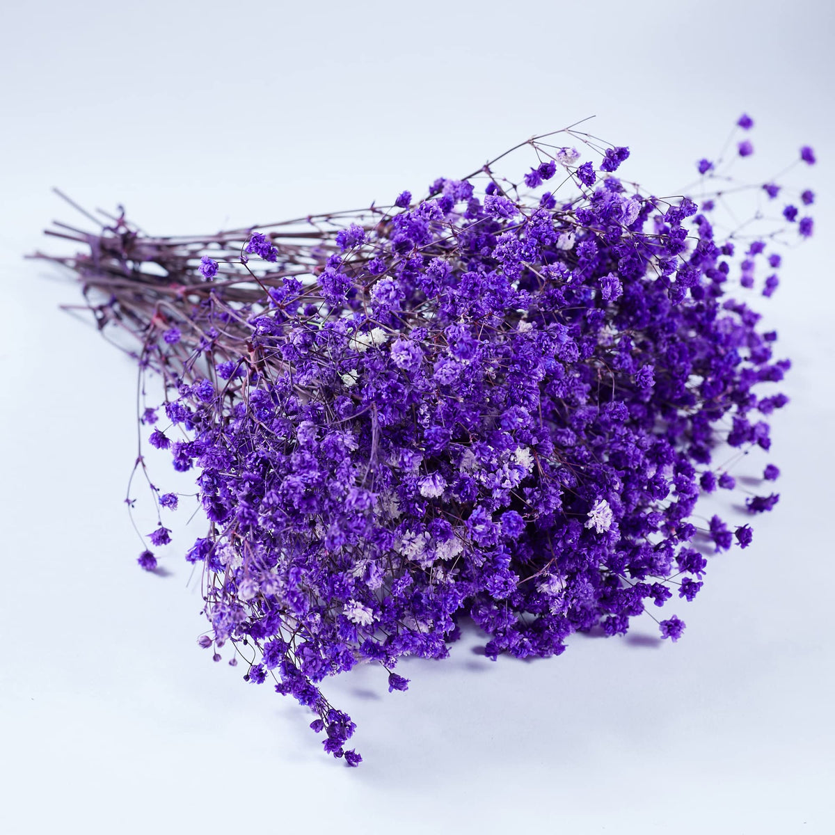 Preserved Baby's Breath 3 Bunches, 100% Natrual Fresh Gypsophila Long Lasting Flowers for Vase Arrangements Home Decoration Photo Props Parties and Weddings, DIY Décor-White