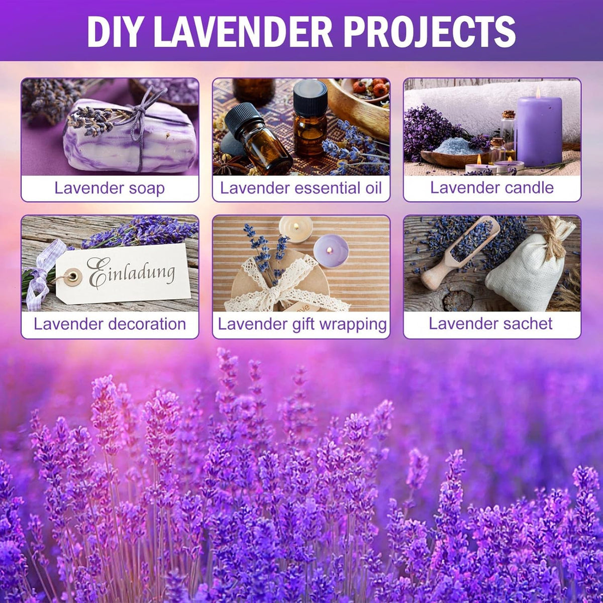 Timoo Dried Lavender Bundles 100 Natural Dried Lavender Flowers for Home Decoration, Photo Props, Home Fragrance, 2 Bundles Pack