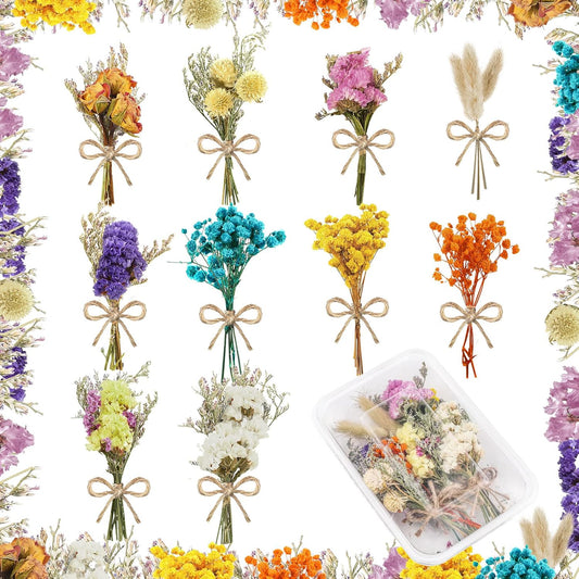 Tallew 10 Pcs Mini Dried Flowers Tiny Boquet Flowers for Vase, Colorful