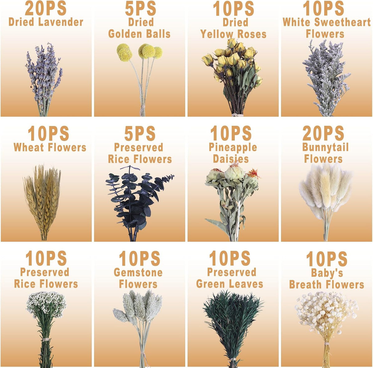 130Pcs Dried Flower Set, 12 Mixed Flowers for Floral Crafts & DIY Decor
