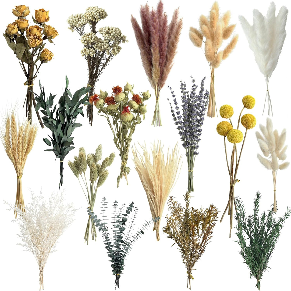 16 Varieties Dried Flowers Set, Mini Natural Dried Flowers Bulk with Stems for Vase Fillers, DIY Crafts, Wreath Making, Rustic Farmhouse Boho Home Decor, Wedding Floral Arrangement Brown Mix (7"-8")