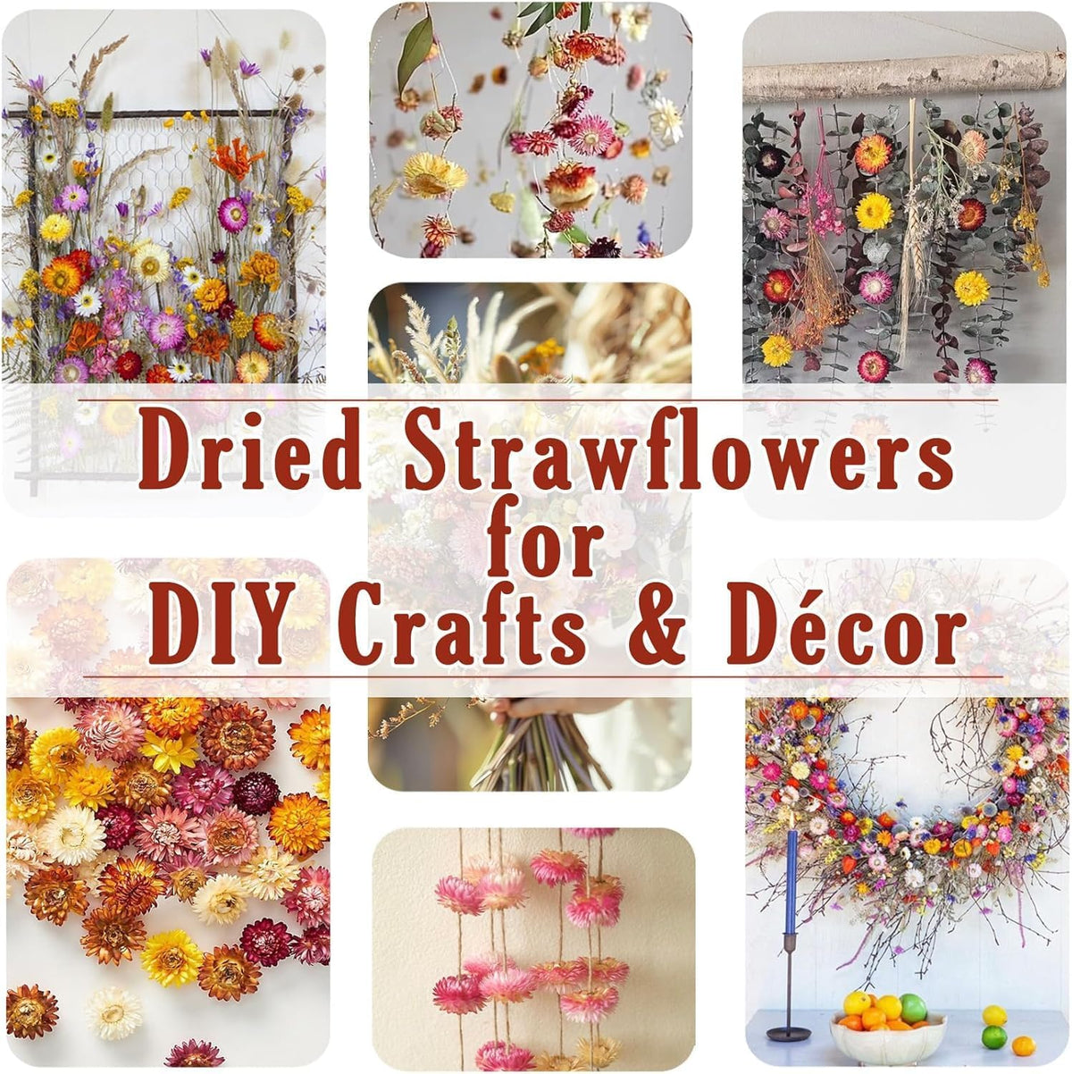 30pcs Dried Strawflowers Bouquet Long Stem Flowers for Wedding & Home Decor