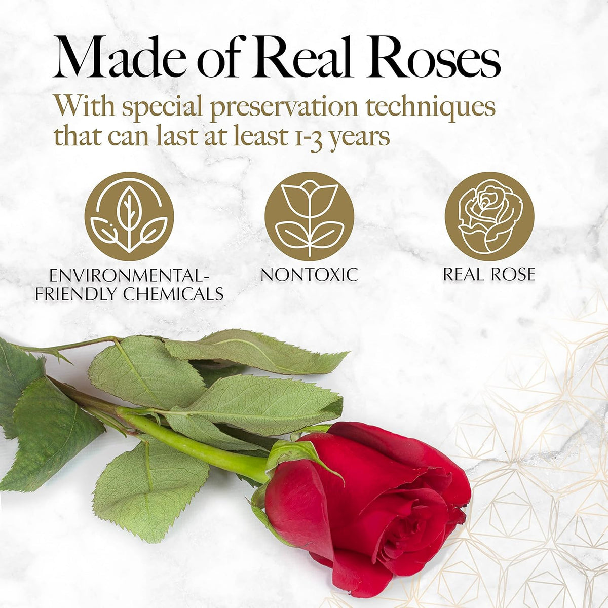 GLAMOUR BOUTIQUE Preserved Flowers, 27 Forever Red Roses in Heart Gift Box