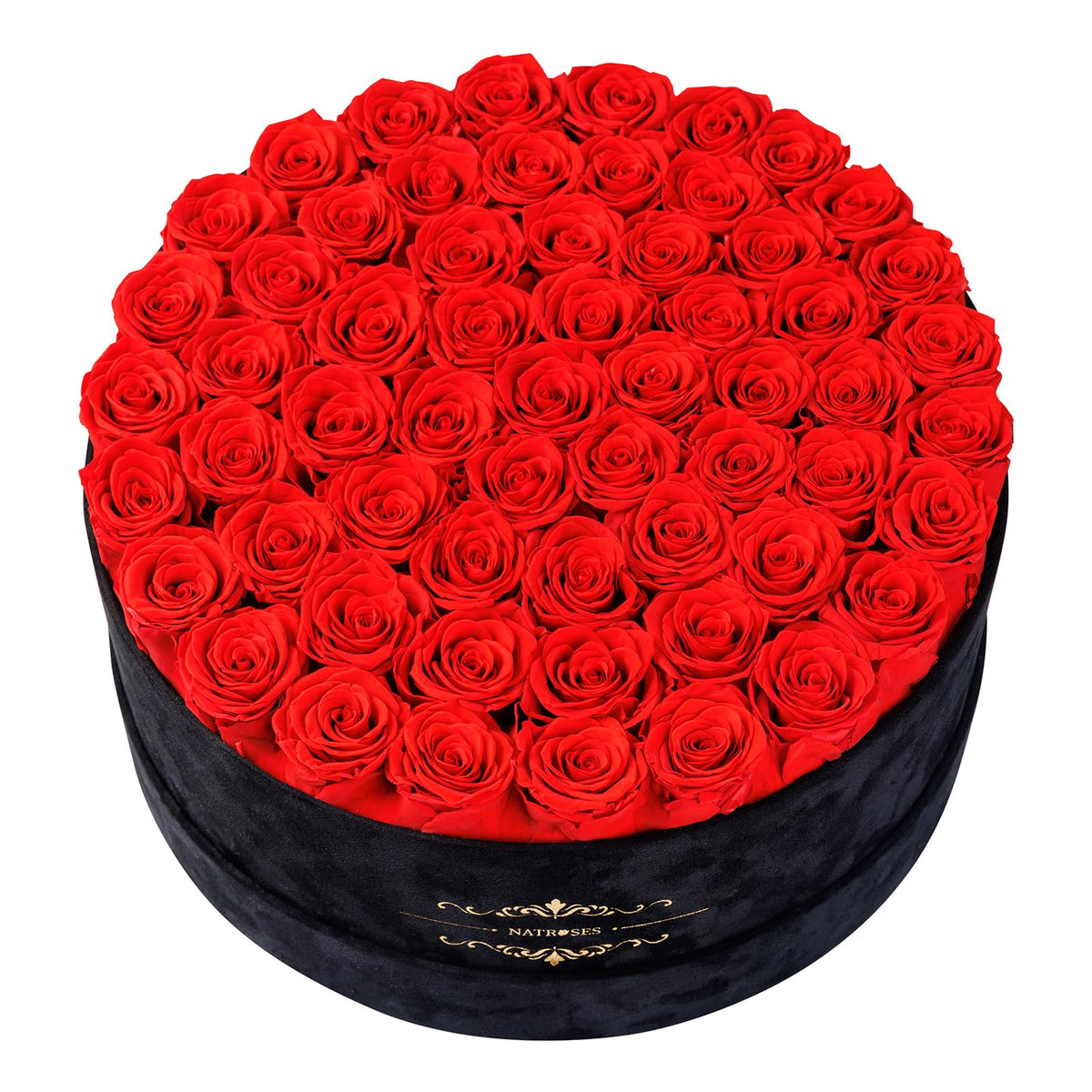 NATROSES Gifts for Her 27 Piece Forever Preserved Roses in a Box, Preserved Flowers for Delivery Birthday, Flowers Gifts for Mothers Day, Forest Green