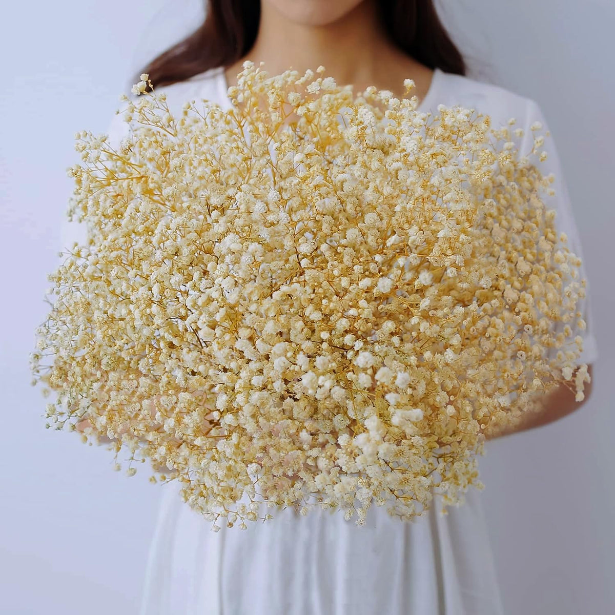 2500+ Dried Babys Breath Flowers Bulk, 17'' Ivory White Gypsophila Bouquet