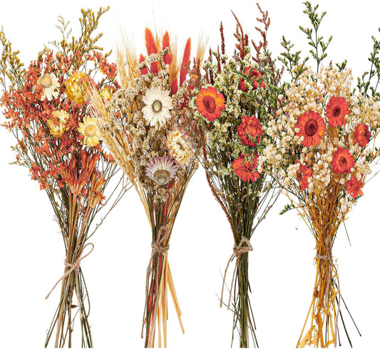 Layhit 4 Pack Large Size Boho Dried Flowers 15-17 Inch, Gerbera Daisy
