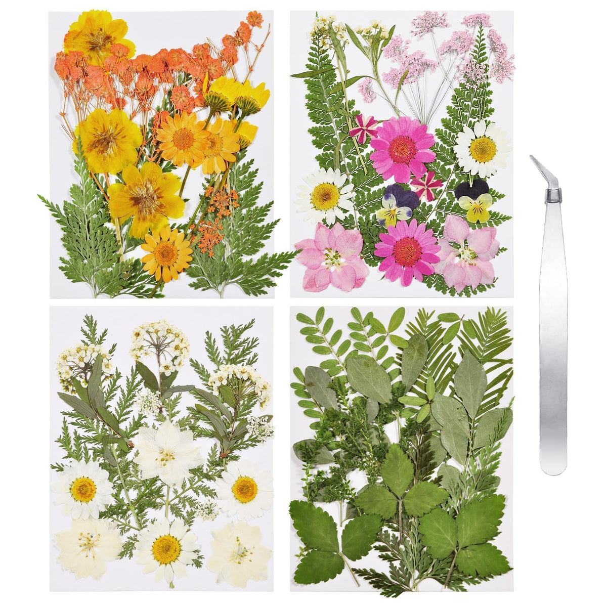 Dried Flowers for Resin, 106pcs Natural Flowers and Leaves Compressed