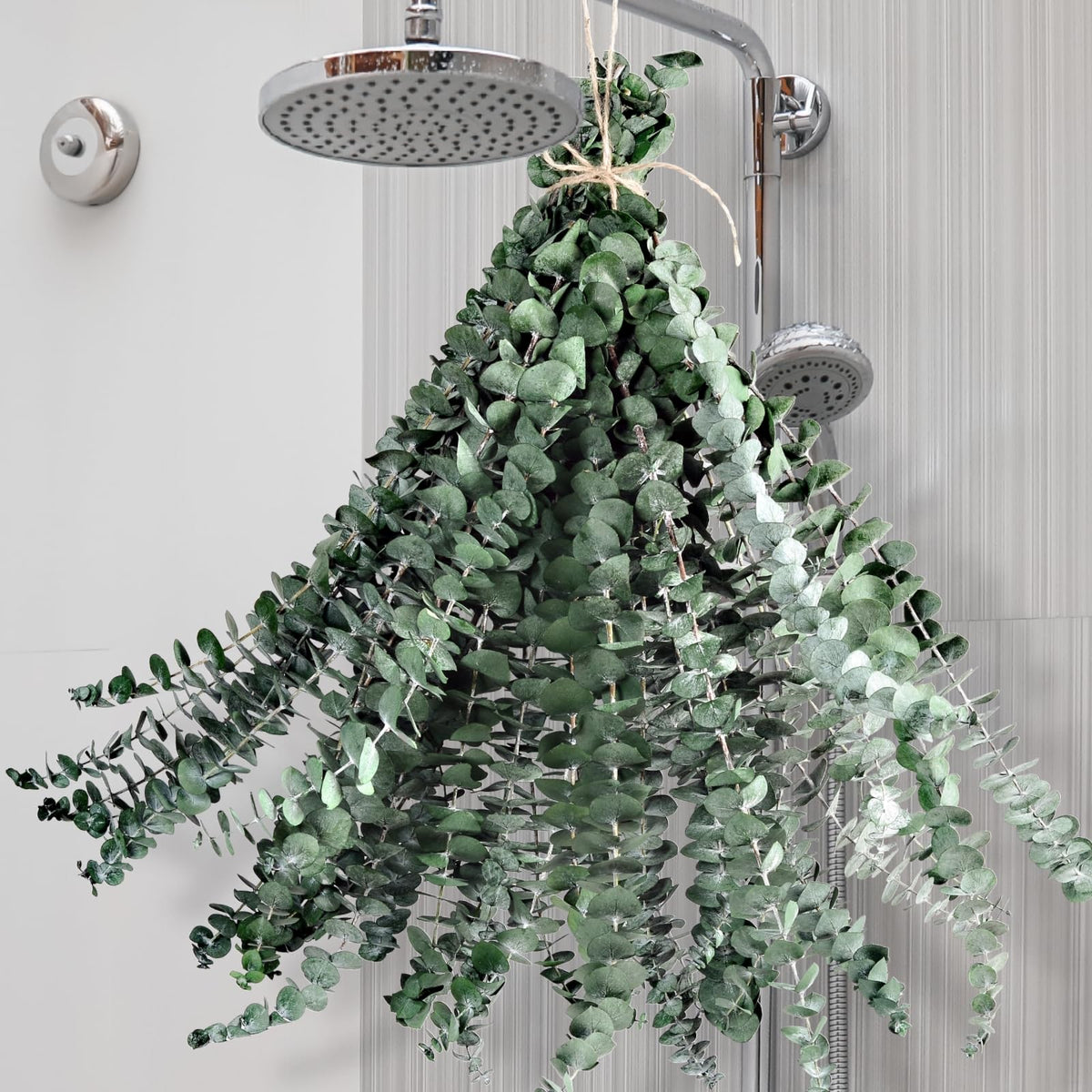12PCS Dried Eucalyptus for Shower Hanging Real Preserved Eucalyptus Stems