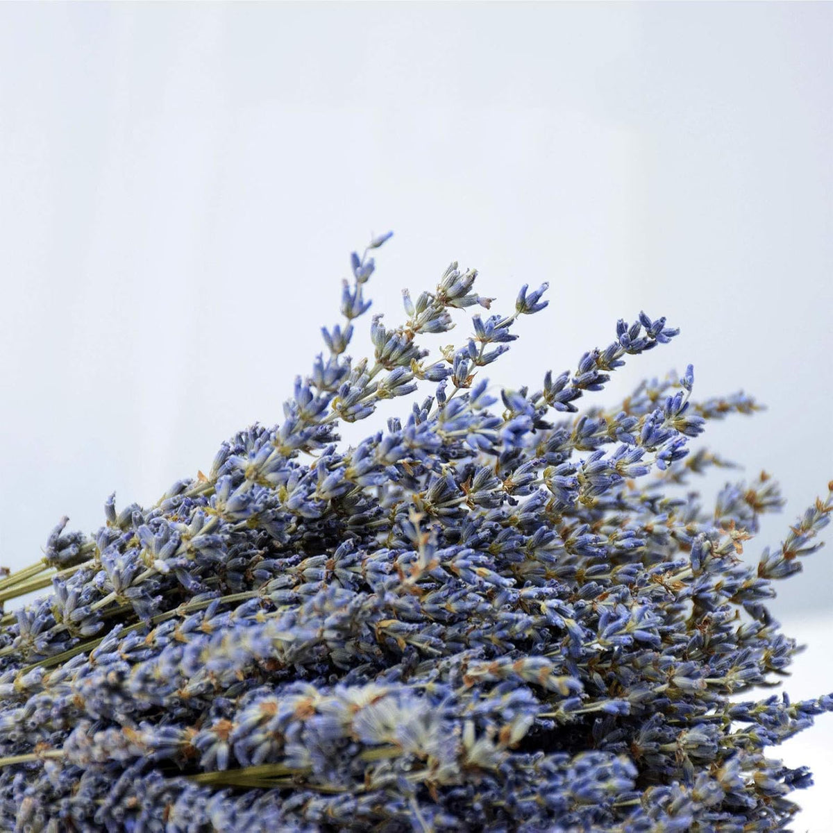 Dried Lavender Flowers Bundles 200 Stems Dry Lavender Bunch for Home Decor, Crafts, Wedding Bouquets