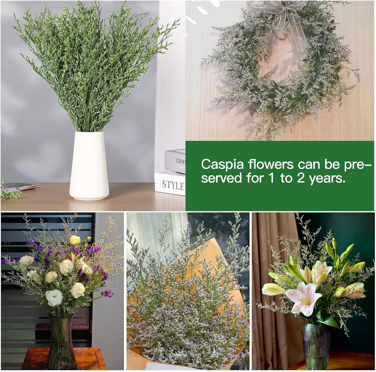 Dried Flower Bouquet, 17'' Dry Green Caspia Flowers Bundle for Vase Decor