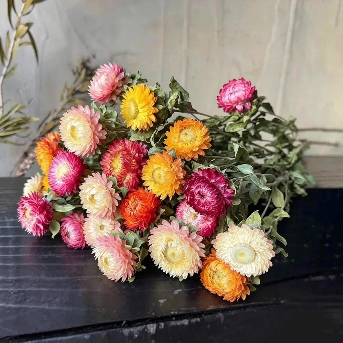 12Pcs Natural Dried Strawflowers Bouquet, Real Multicolor Daisies