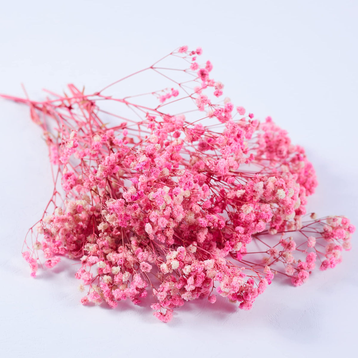 Preserved Baby's Breath 3 Bunches, 100% Natrual Fresh Gypsophila Long Lasting Flowers for Vase Arrangements Home Decoration Photo Props Parties and Weddings, DIY Décor-White