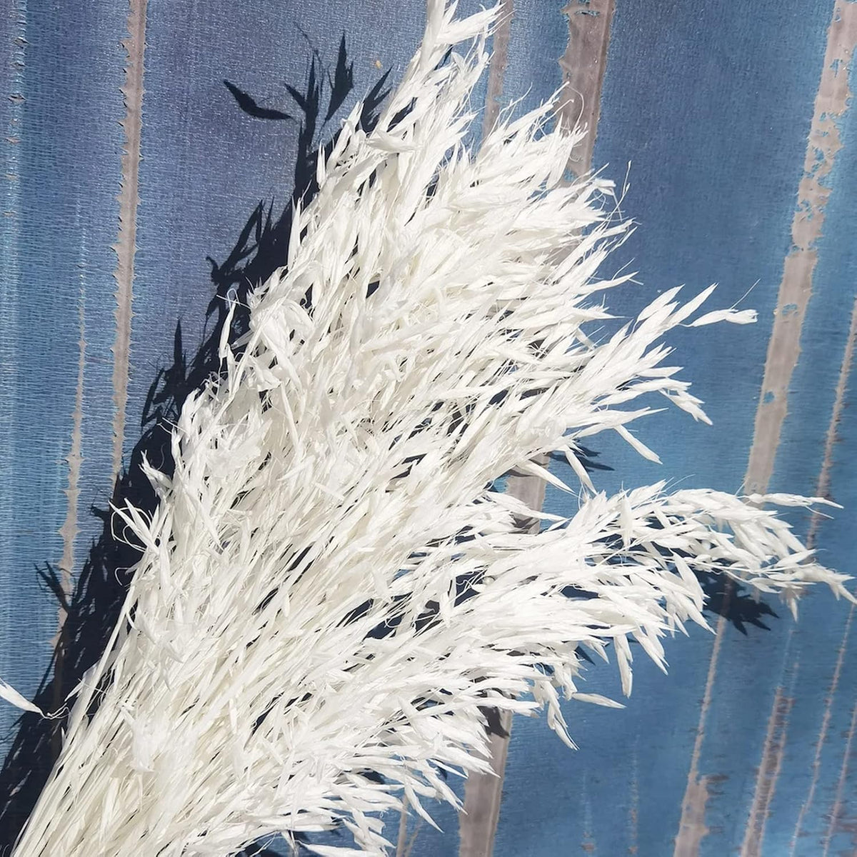40 PCS Stems Dried White Oat Flowers, 17" Natural Bleached Avena Stems