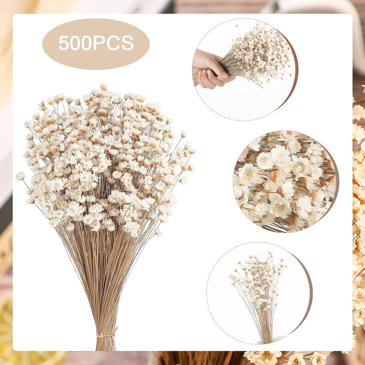 500 Pcs Mini Natural Dry Chamomile Flowers Decoration