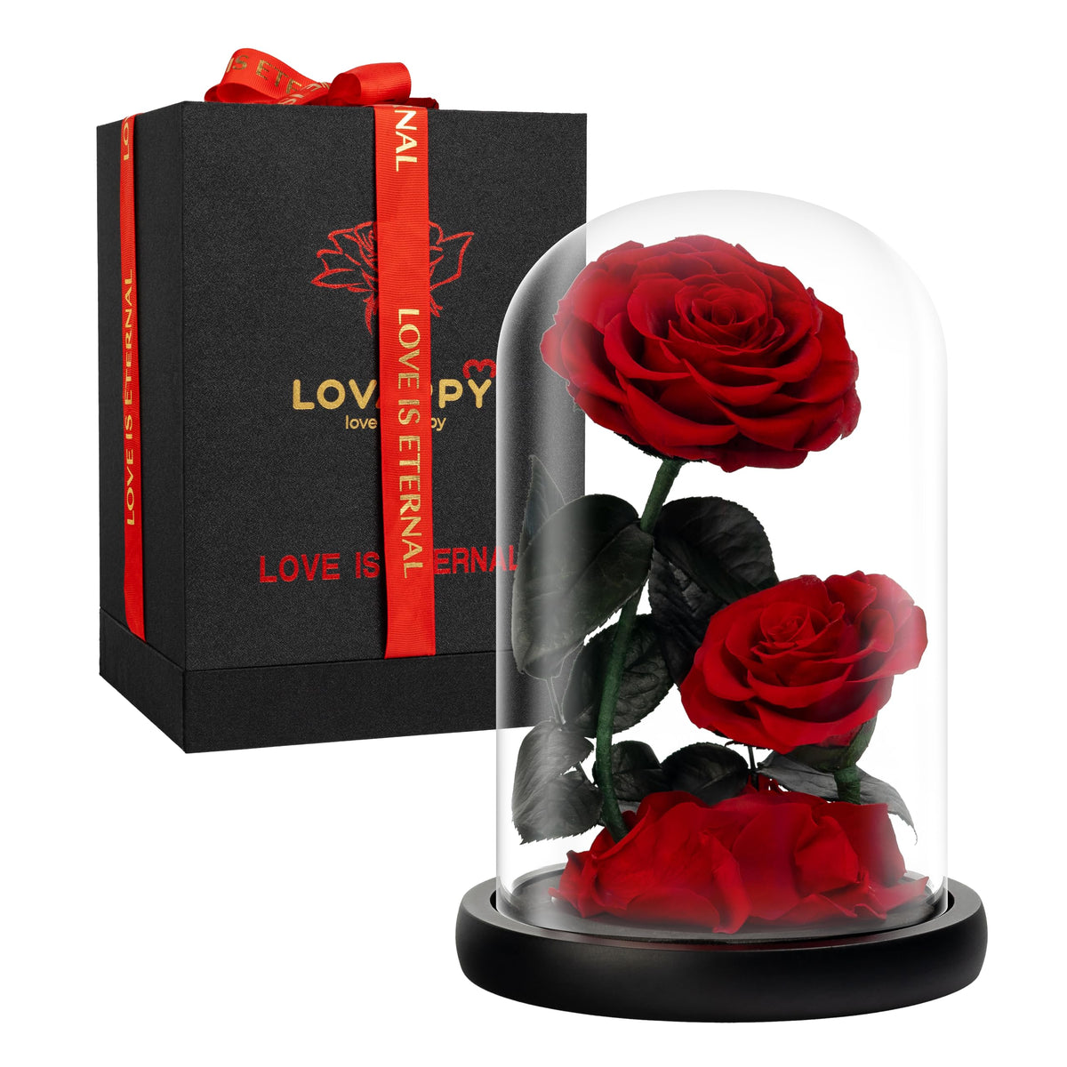 Forever Preserved Rose - Eternal Rose in Glass Dome - Beauty and the Beast Rose for Mom - Fresh Flowers in Glass (Red, 9 Inch)