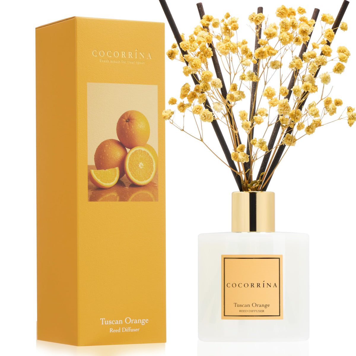 Cocorrína Premium Reed Diffuser Set with Preserved Baby's Breath & Cotton Stick Sandalwood Rose | 6.7oz Scent Fragrance Oil Diffuser for Bedroom Bathroom Home Décor
