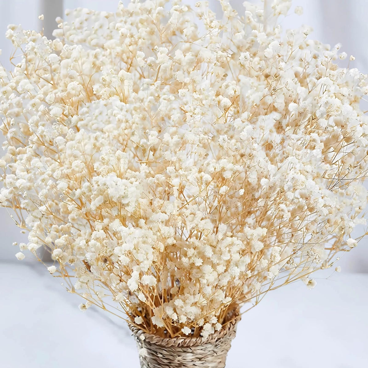 2500+ Dried Babys Breath Flowers Bulk, 17'' Ivory White Gypsophila Bouquet