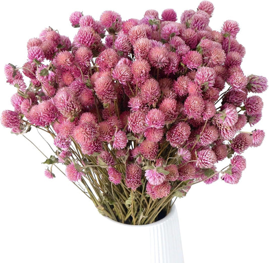 100Pcs+ Pink Dried Globe Amaranth Flowers, Natural Gomphrena Home Decor