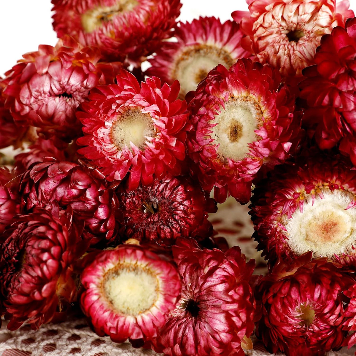 MIHUAGE Dried Flower 40PCS Daisy Bouquet 100% Natural Chrysanthemum Dry Flower with Stem for Vase Home décor Party DIY Arrangement Wheat Straw Bulk (Burgundy)